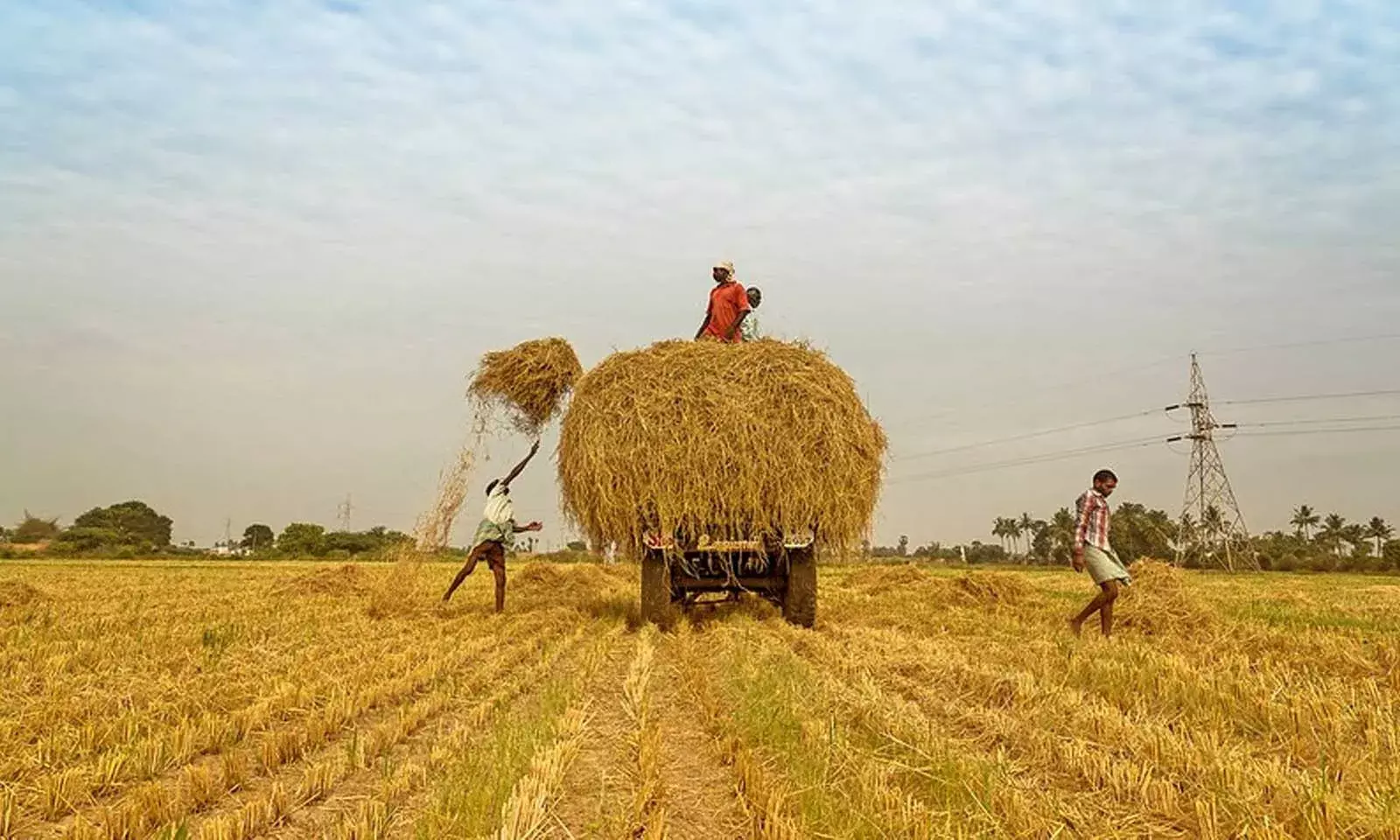 KTRs Claims on Farm Loan Waivers Dont Tell the Whole Story KTRs Claims on Farm Loan Waivers Dont Tell the Whole Story