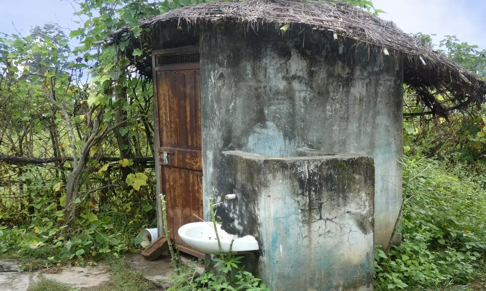 Fact-check: Nadda claims 60 lakh toilets constructed in Assam under SBM Fact-check: Nadda claims 60 lakh toilets constructed in Assam under SBM