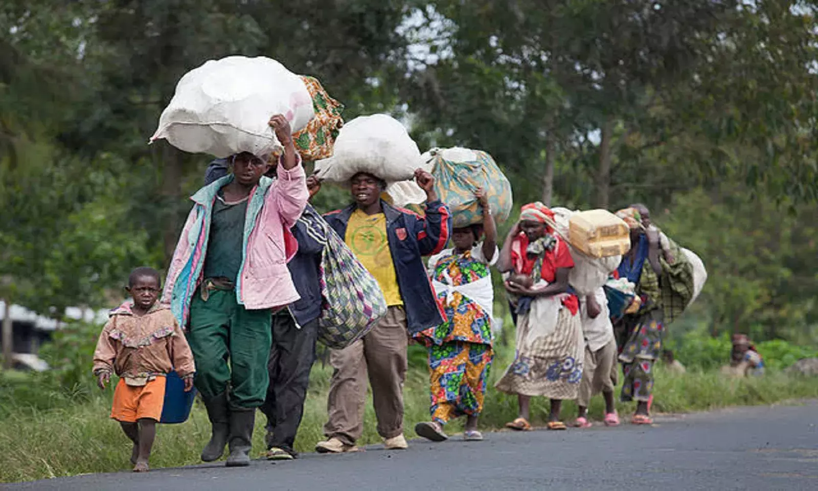 World Refugee Day: All You Need To Know About Indias Refugee Crisis