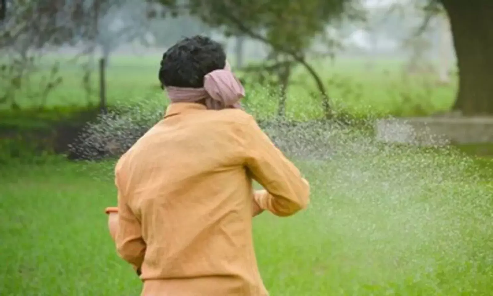 Centre Claims No Shortage of Fertilisers, Official Records Show Otherwise Centre Claims No Shortage of Fertilisers, Official Records Show Otherwise