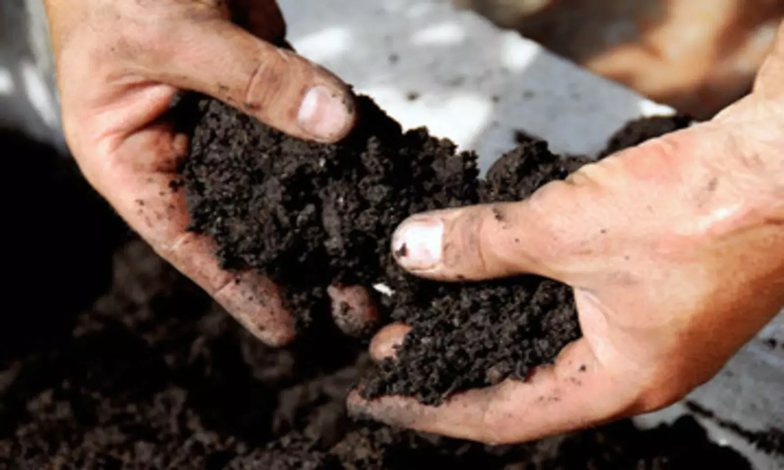 Explained: Zero Budget Natural Farming & Efforts to Scale it Up Explained: Zero Budget Natural Farming & Efforts to Scale it Up