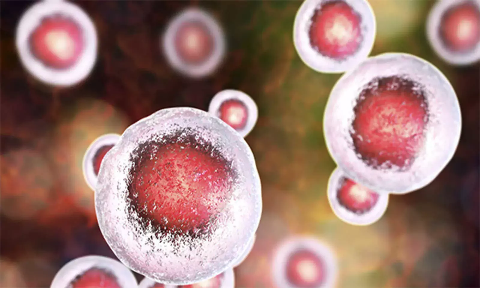 Explained: Why Boy with Rare Genetic Disorder Struggles for Treatment Explained: Why Boy with Rare Genetic Disorder Struggles for Treatment