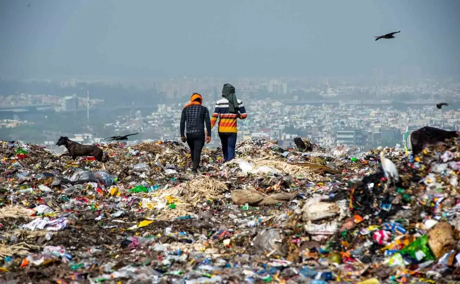 Does India Really Process 73% of its Waste as Union Minister Claims? Does India Really Process 73% of its Waste as Union Minister Claims?