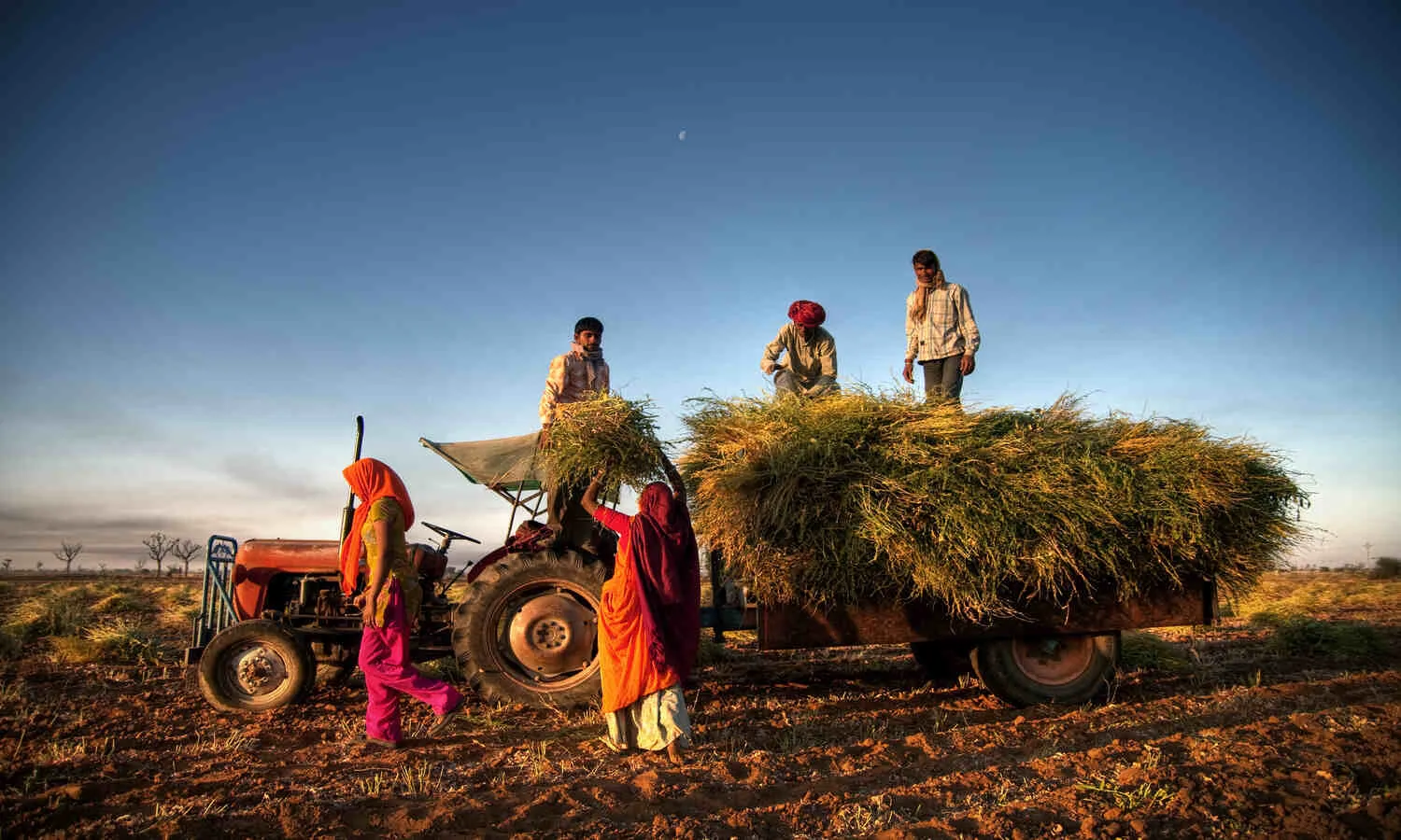 Has the Agriculture Budget Really Shot Up by 465% in the Last 10 Years? Has the Agriculture Budget Really Shot Up by 465% in the Last 10 Years?