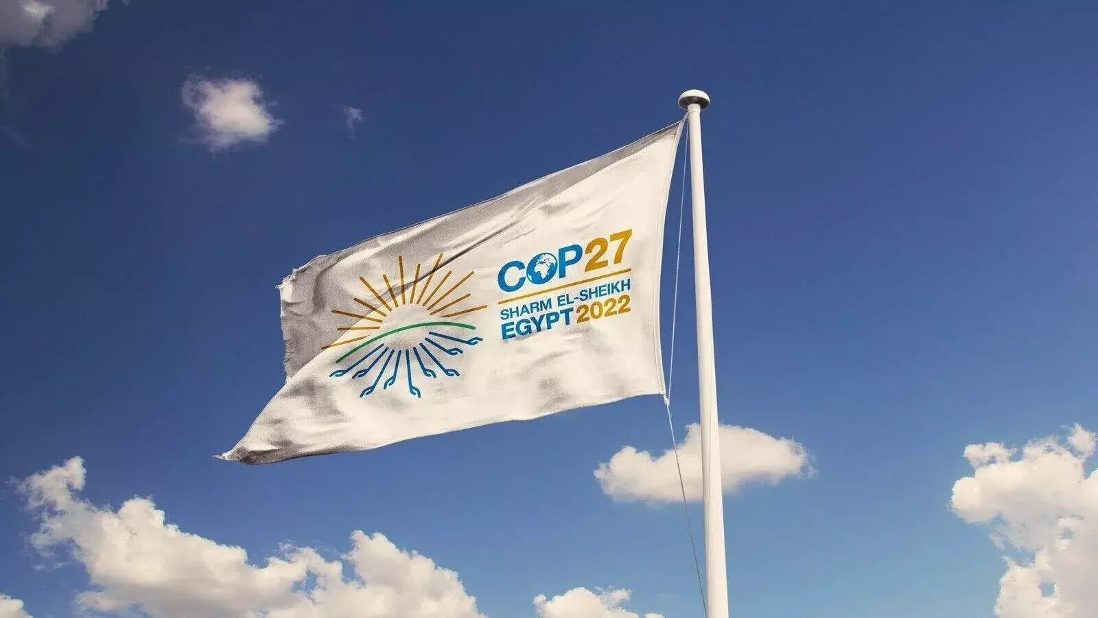 COP 27: Breaking Down Climate Change Jargon COP 27: Breaking Down Climate Change Jargon