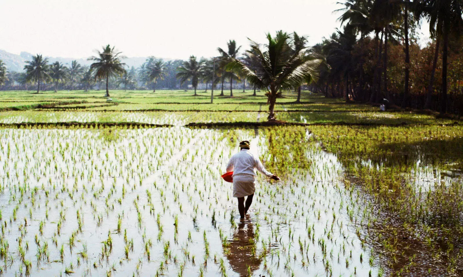 Congress Party’s Claim about Farmers Income Is Incorrect Congress Party’s Claim about Farmers Income Is Incorrect